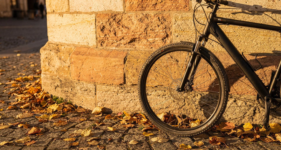 Fahrrad lehnt an einer Sandsteinmauer im Herbstlaub