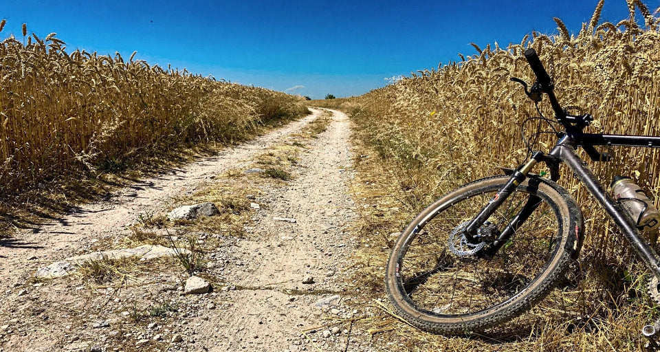 Fahrradhandschuhe Sommer 2026: fingerlos oder belüftet? - Alpensattel