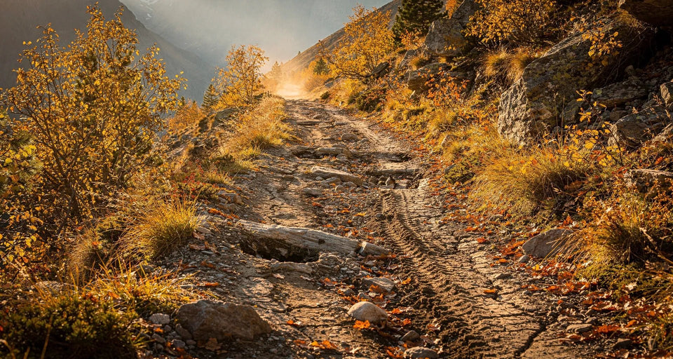 MTB Sattel 2026: bester Mountainbike Sattel für Trail, Enduro und XC - Alpensattel